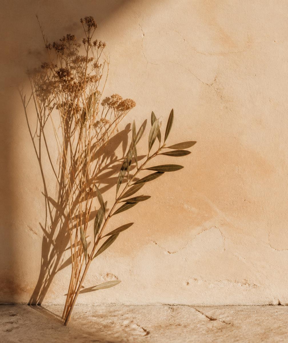 Dried botanicals and an olive branch against a warm plaster wall