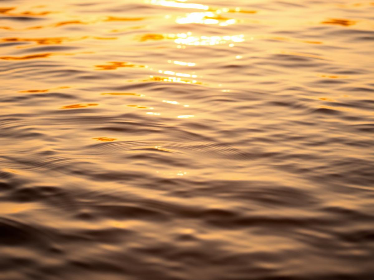 Water catching low golden light